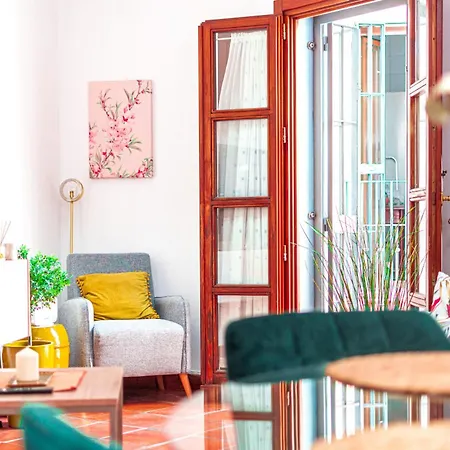 Daire Edomus Setas Boutique