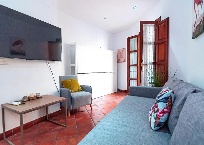 Apartment Setas Boutique - Vacacional *